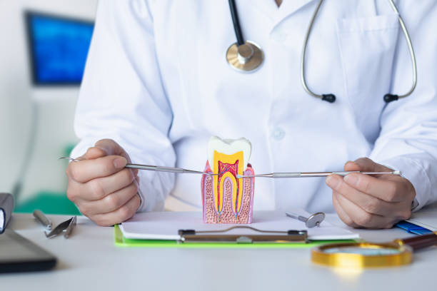 Best Dentist for Tooth Abscess  in Dakota City, NE